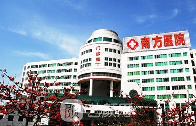 南方医科大学南方医院整形外科