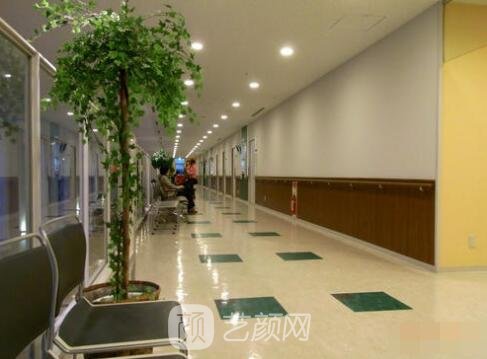 河南省洛阳正骨医院整形科