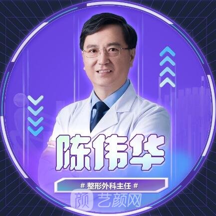 陈伟华