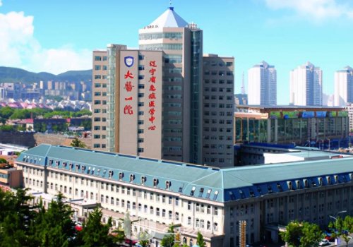 大连秦宏智和王金奎谁厉