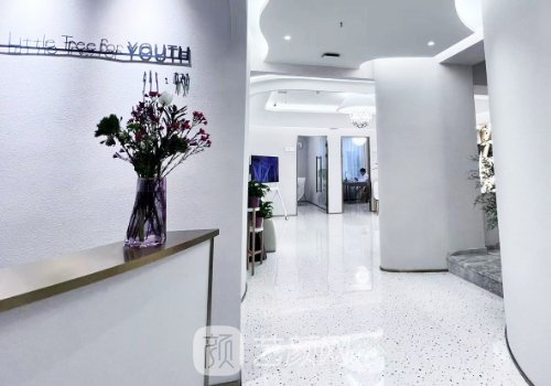 沈阳小树整形医院电话分