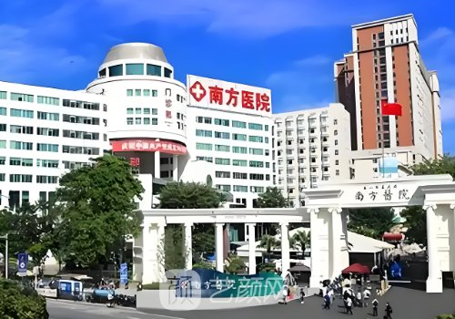 南方医院双眼皮价格全整