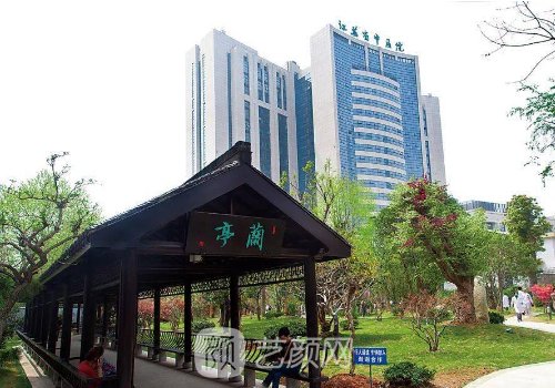 江苏省中医院整形外科陈