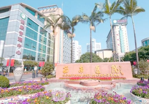 西南医院美容专家排名公