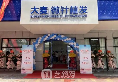 成都大麦微针植发地址在