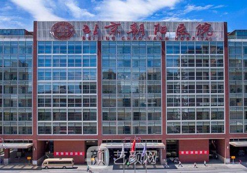 北京朝阳医院整形外科价