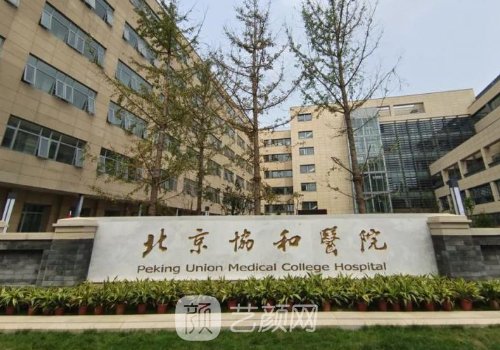 北京协和医院植发科怎样