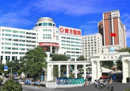 南方医科大学南方医院整