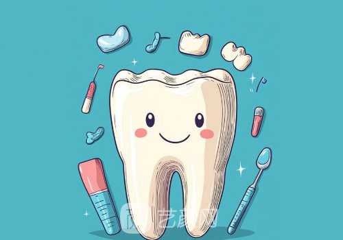 韩国美格真种植牙价格是