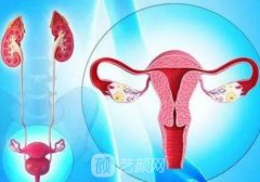 菲蜜丽激光紧缩后多久能