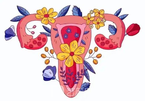 八爪鱼紧缩术和保留黏膜