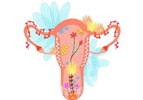 八爪鱼紧缩术能达到什么