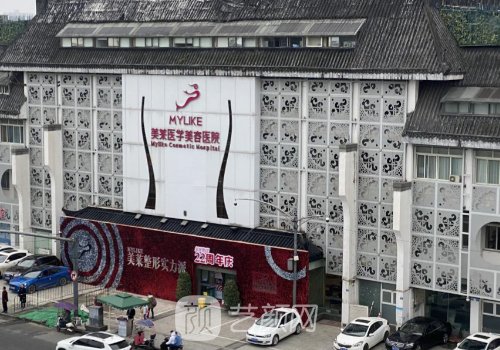 成都熊猛还在医院吗?医生