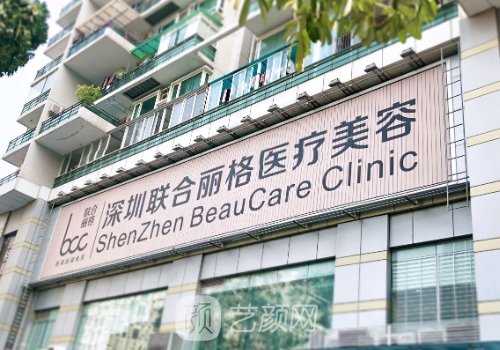 深圳联合丽格怎么样?项目