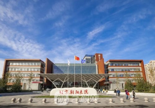 北京朝阳医院整形科价格