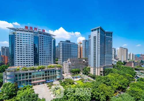 重庆种植头发哪个医院较