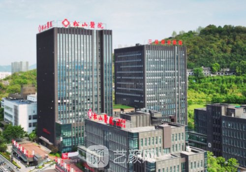重庆松山医院整形科收费