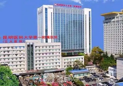 昆明丰胸整形要多少费用