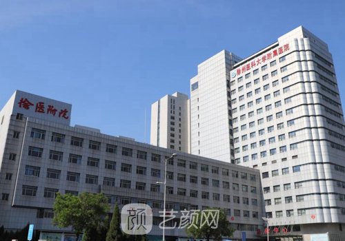 徐医附院双眼皮挂什么科