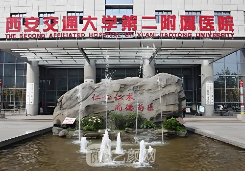 西安交大二附院整形科团