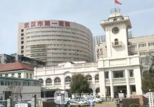 武汉第一医院整形排行榜