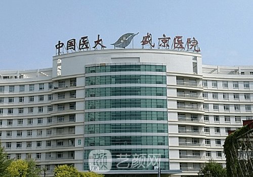 沈阳盛京医院整形外科哪