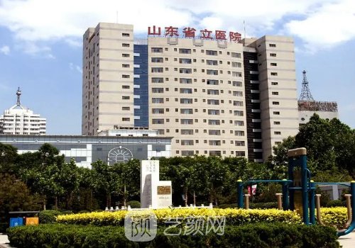山东省立医院整形科价格