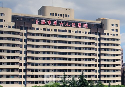 上海六院双眼皮专家排名
