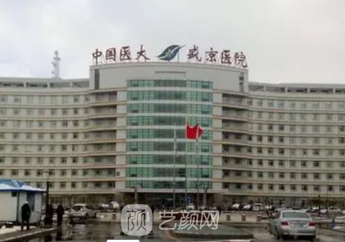 盛京医院丰胸专家都有谁