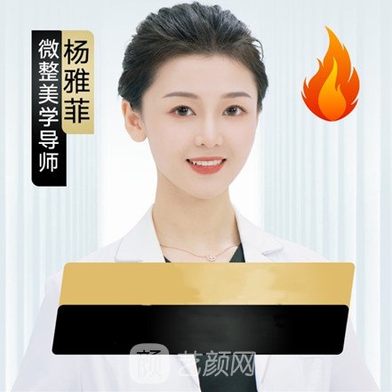 杨雅菲