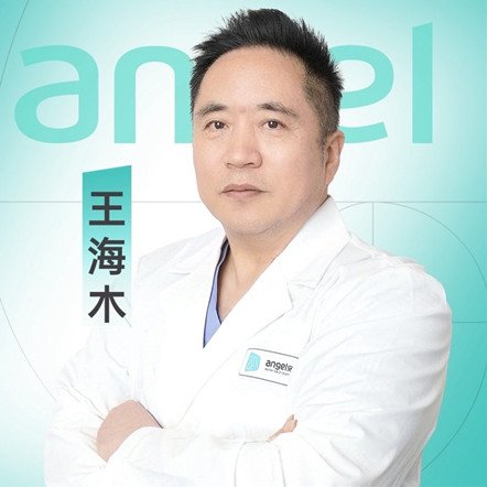 王海木