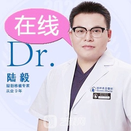 陆毅