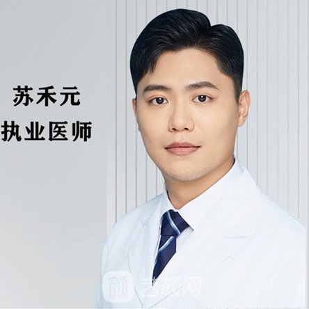 苏禾元