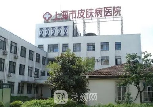 在上海哪家医院植发好?市