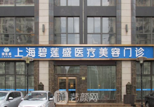 上海哪家植发好?详询碧莲