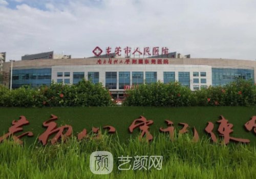 东莞哪家医院植发好?这几