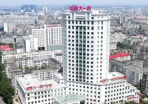 哈尔滨大医院哪家植发好