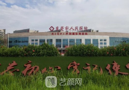 东莞国内哪家植发好?公立