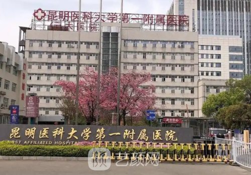 昆明国内哪家植发好?这些