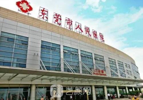 东莞哪家做植发好呢?碧莲