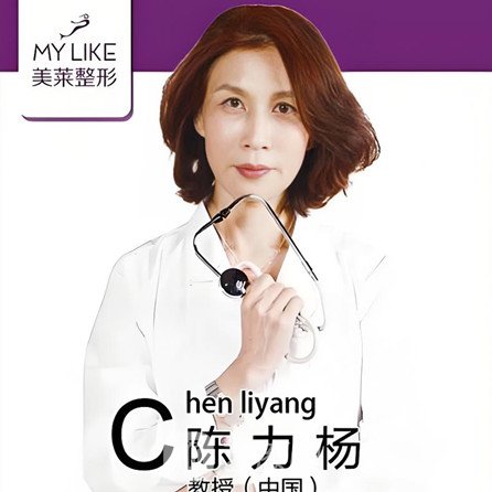 陈力杨