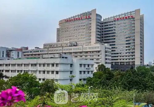 广州华侨医院种植牙怎么
