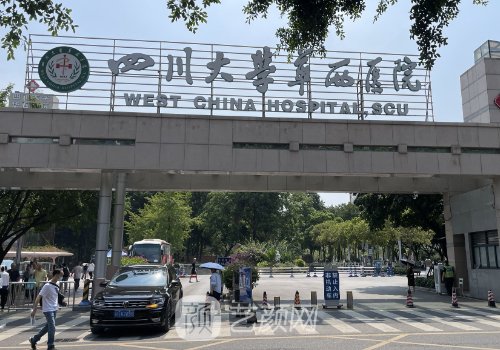 华西隆鼻子多少钱?不同术