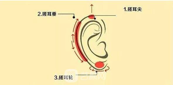 耳轮缺失修复