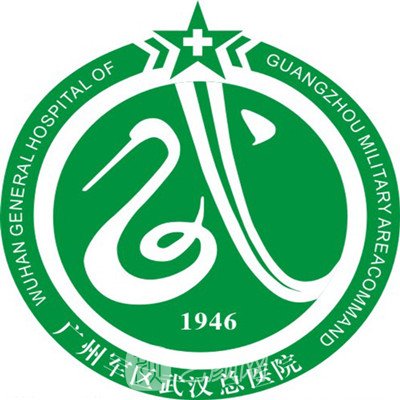 广州军区武汉总医院整形科